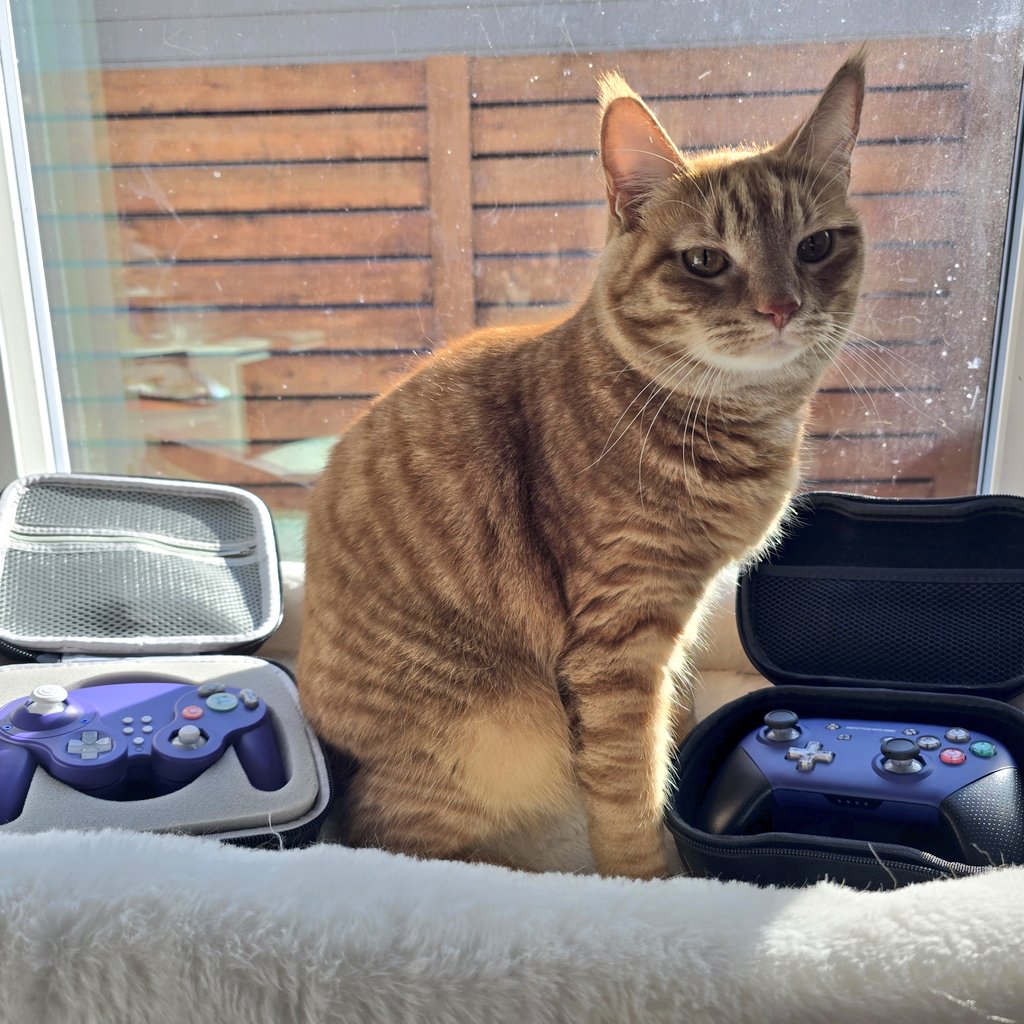 Indigo Gamecube Ultimate Kick Starter Edition