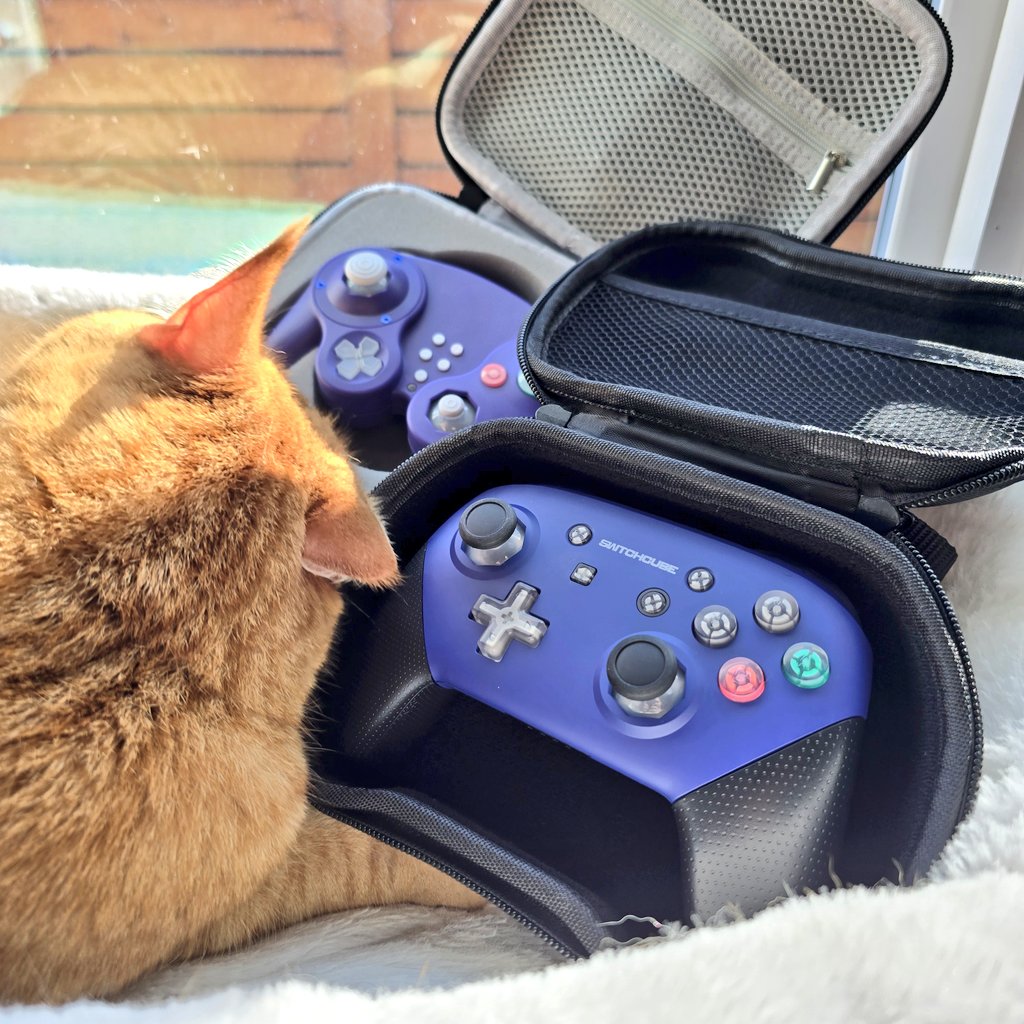 Gamecube Style ProGCC V3.1 Wired